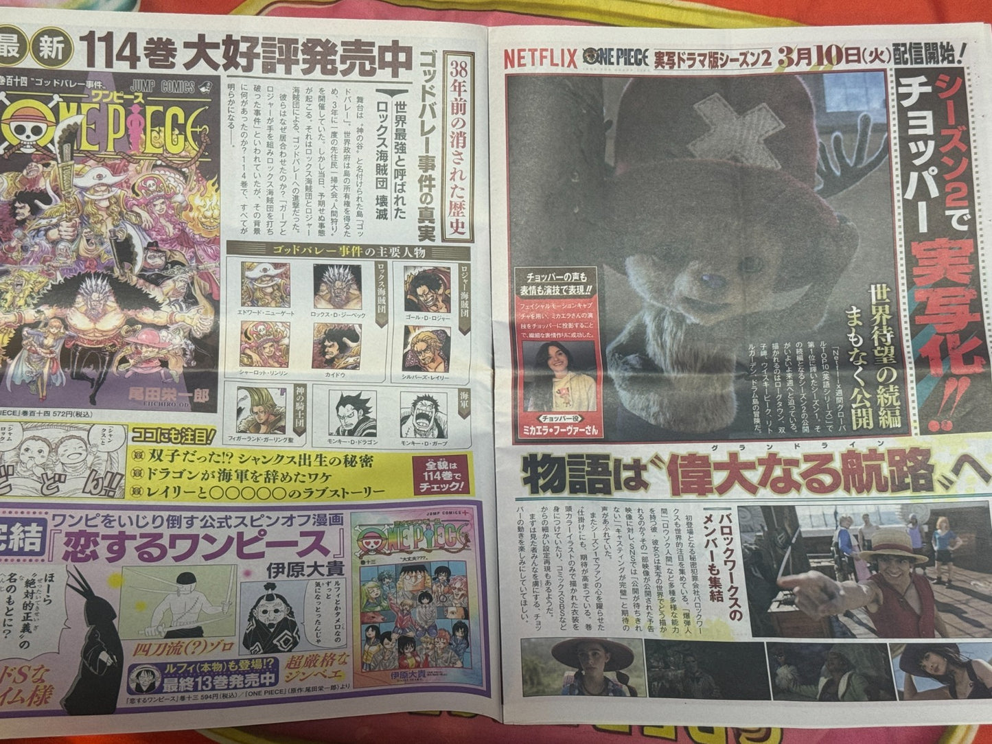 ONE PIECE NEWS Extra Newspaper 6 Billion Copies Commemoration Japan Limited8