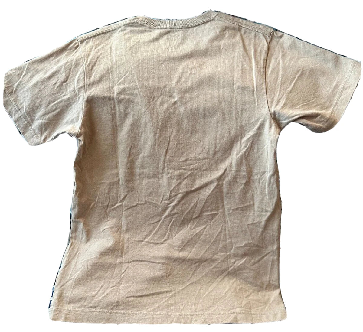 POKEMON Magikarp Hokusai Uniqlo T-Shirt S size Short Sleeve Crew Neck JAPAN