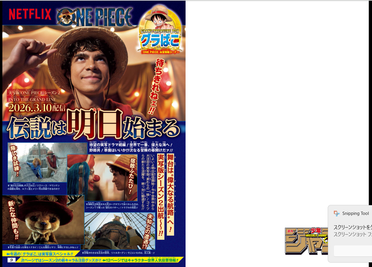 Weekly SHONEN JUMP 2026 No.15 Cover ONE PIECE Bonus Poster & Clear Bookmark JP14