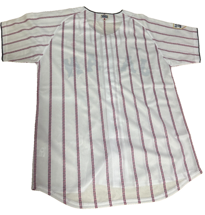 WBC Samurai Japan World Baseball Classic Printed logo Uniform Mizuno Official1