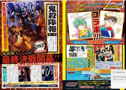 Weekly SHONEN JUMP 2026 No.12 Color Cover Akane Bayashi ONE PIECE From JAPAN15