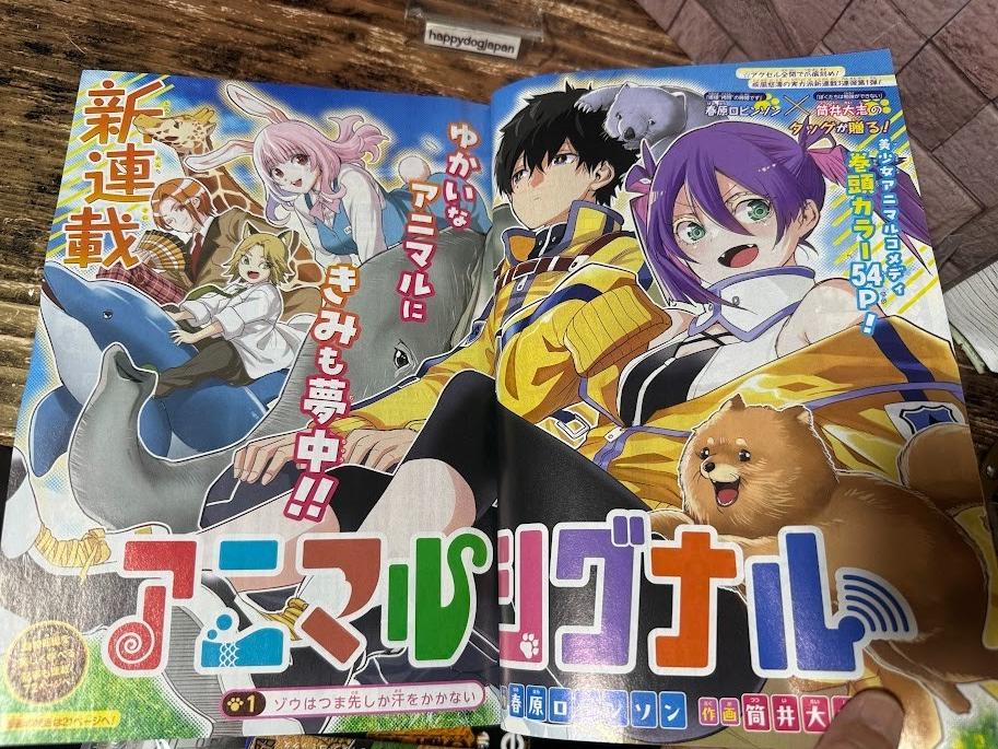 Weekly SHONEN JUMP 2026 No.28 Cover New Series Animal Signal by Taishi Tsutsui3