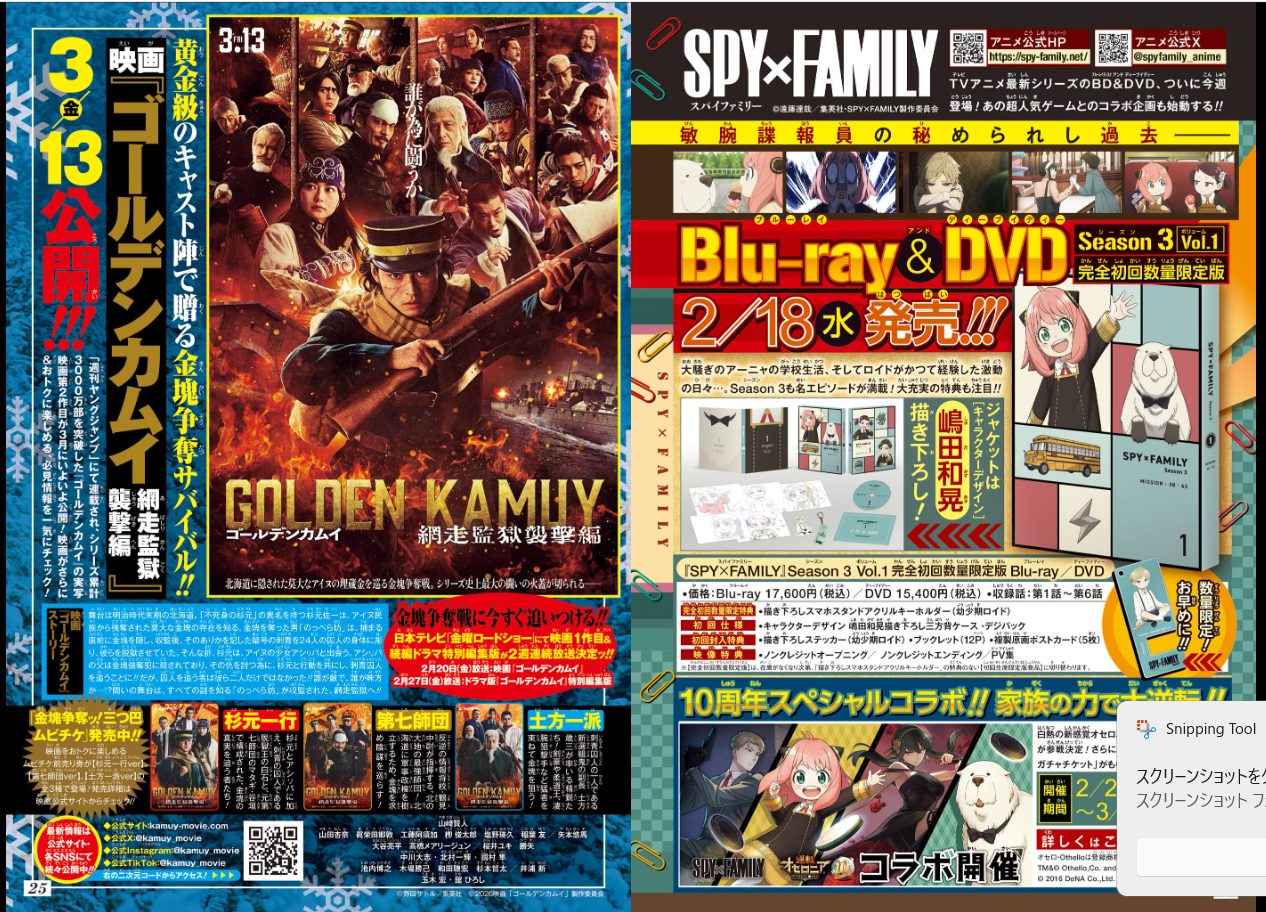 Weekly SHONEN JUMP 2026 No.12 Color Cover Akane Bayashi ONE PIECE From JAPAN19