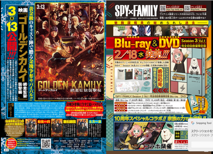 Weekly SHONEN JUMP 2026 No.12 Color Cover Akane Bayashi ONE PIECE From JAPAN19