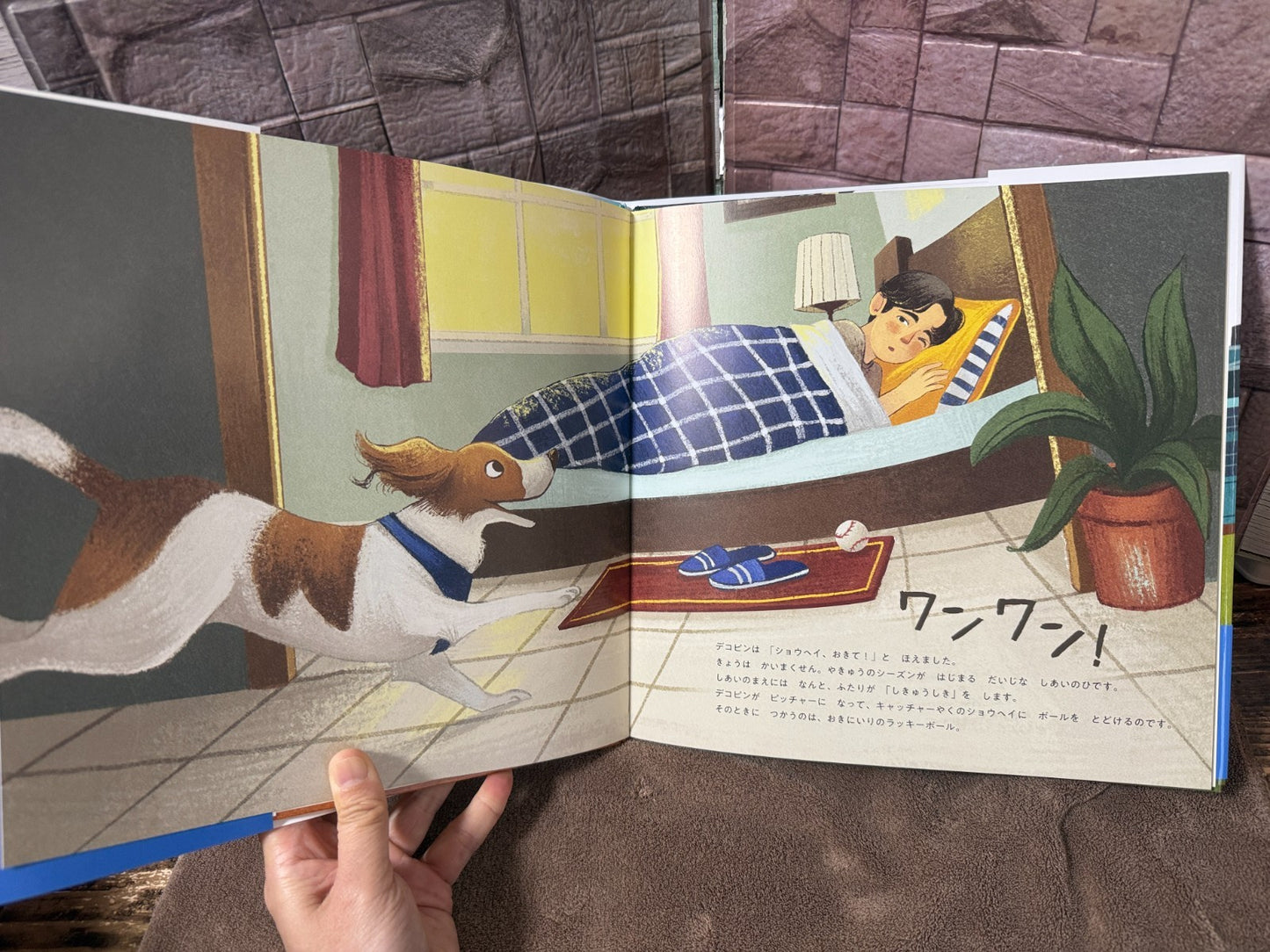 Shohei Ohtani Decoy Decopin’s Special Day Japanese Picture Book From JAPAN4