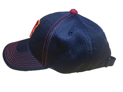 Mizuno Samurai Japan WBC Baseball Cap Navy Gold Trim Adjustable Hat 12JWAX902