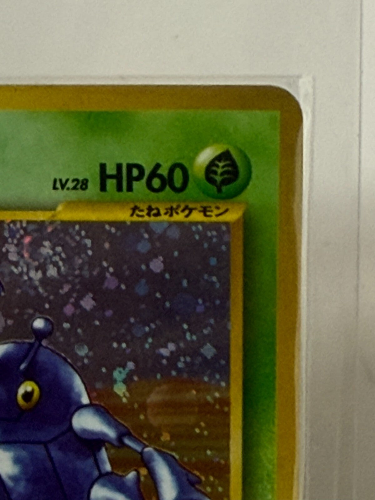 675081