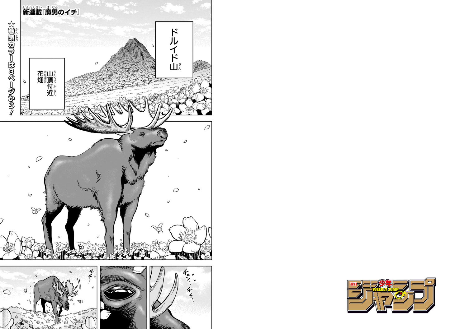 Weekly SHONEN JUMP 2024 No.41 & 2025 No.3 Cover Ichi the Witch new series issue8
