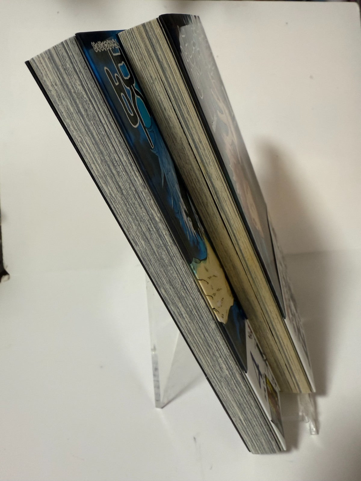 Custom Lot for candkl858 [happydogjapan made-to-order product] 2 Comics3