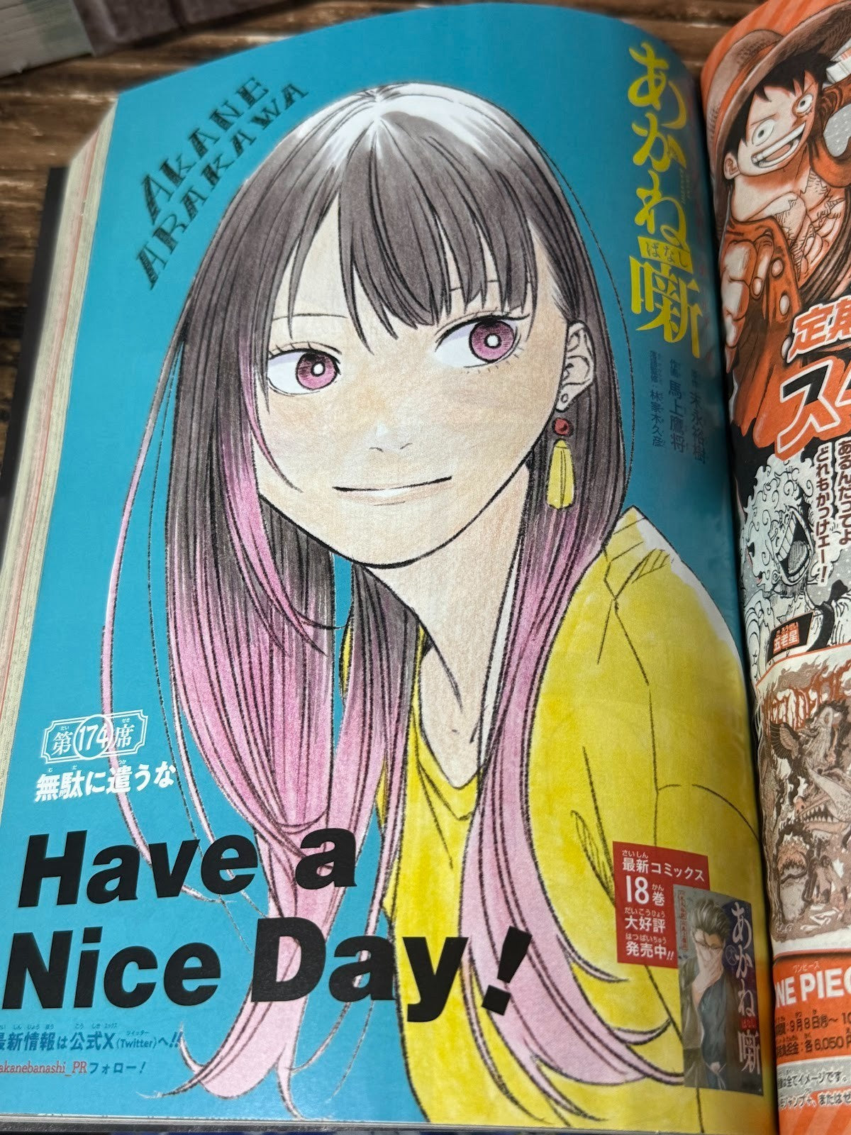 45914302