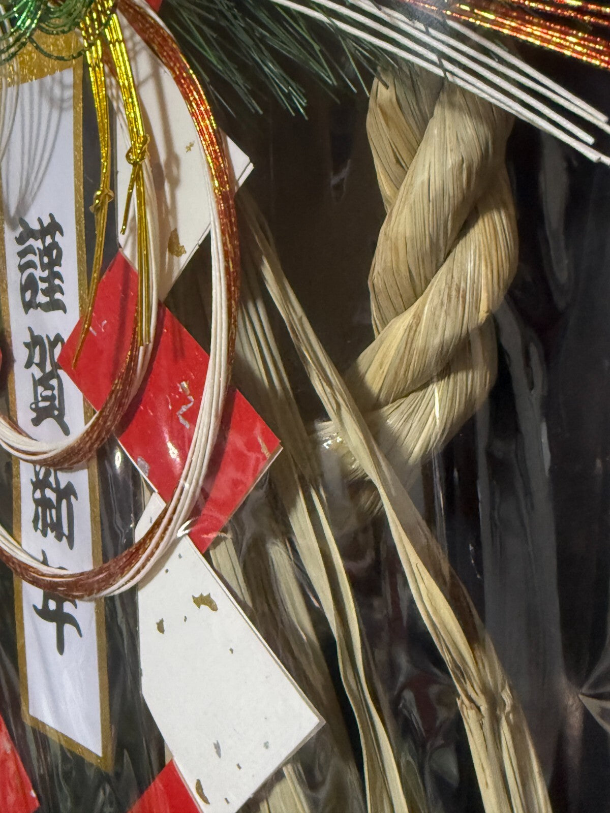 46066778