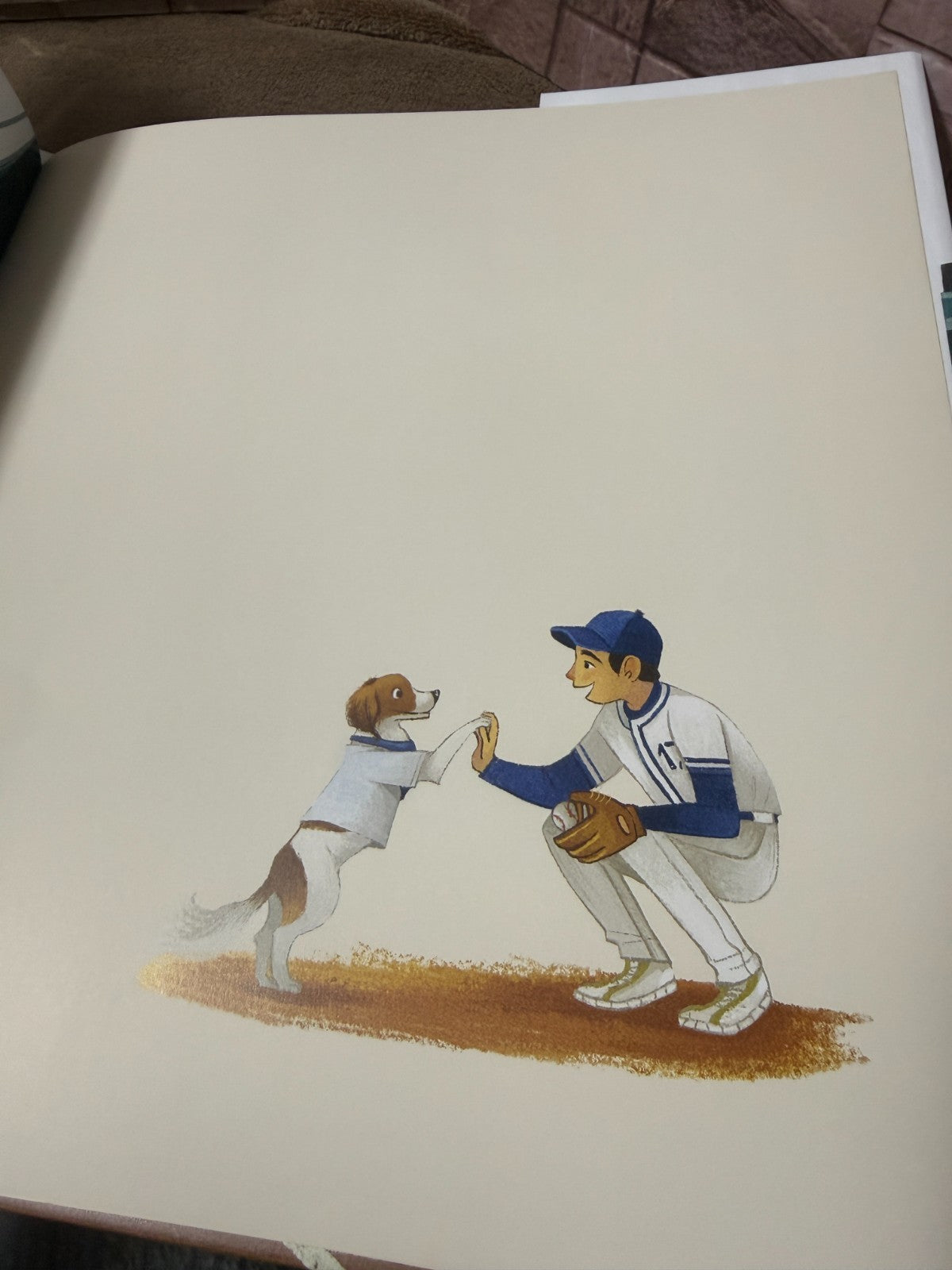 Shohei Ohtani Decoy Decopin’s Special Day Japanese Picture Book From JAPAN5