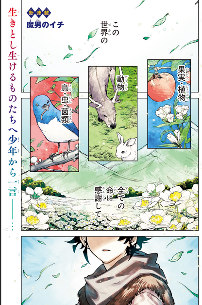 Weekly SHONEN JUMP 2024 No.41 & 2025 No.3 Cover Ichi the Witch new series issue6