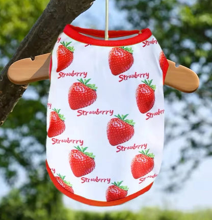 Cute Pet small dog clothes size XXL lot of 3 pieces Summer Shirt 6-8kg JAPAN