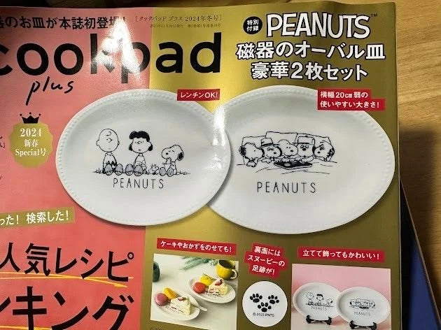 Cookpad-Plus Winter issue Magazine set of 2 Snoopy Porcelain Oval Plate JAPAN