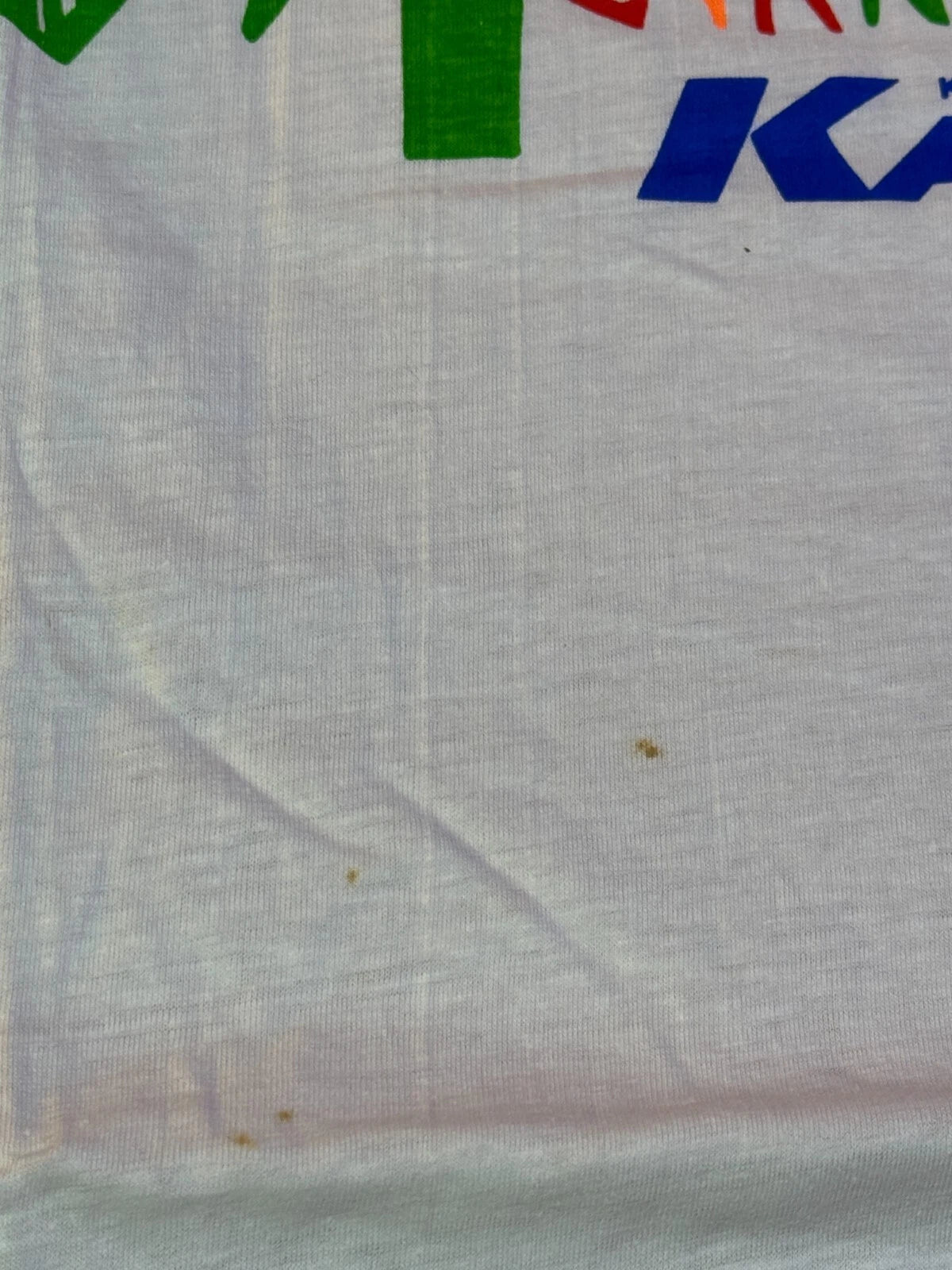 Vintage Kawasaki KAZE Riders Club LIMITED 1990 T-Shirt Makino Summer Carnival JP
