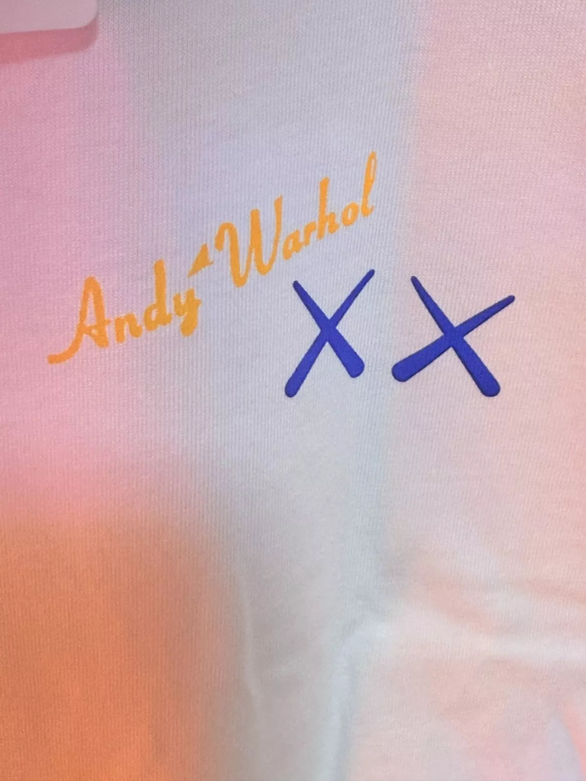 UNIQLO x KAWS Andy Warhol T-shirt White Banana Size XL (US L) From JAPAN