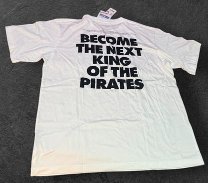 ONE PIECE x Uniqlo 2025 T-shirt regular crew neck Luffy & Ace L size From JAPAN
