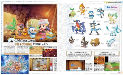 Dengeki Nintendo December 2021 Appendix Pokemon double-sided poster JAPAN