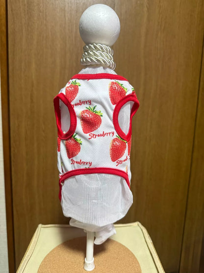 Cute Pet small dog clothes size XXL lot of 3 pieces Summer Shirt 6-8kg JAPAN