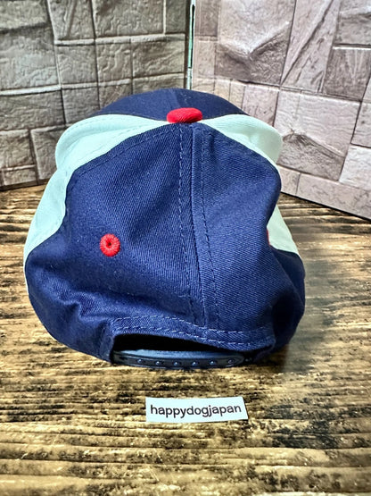Tokyo Yakult Swallows Baseball NEW ERA Cap 57-59 cm Adjustable tricolor JAPAN