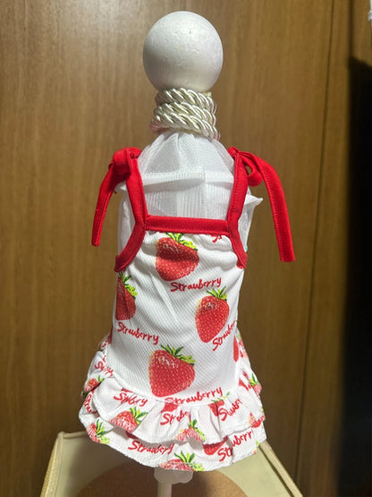 Cute Pet small dog clothes size XXL lot of 3 pieces Summer Dress 6-8kg JAPAN