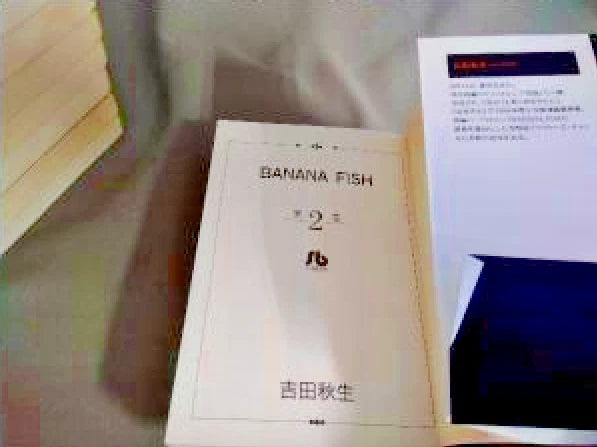 BANANA FISH vol.1-11 + Another * Japanese language * Complete set Manga Comics