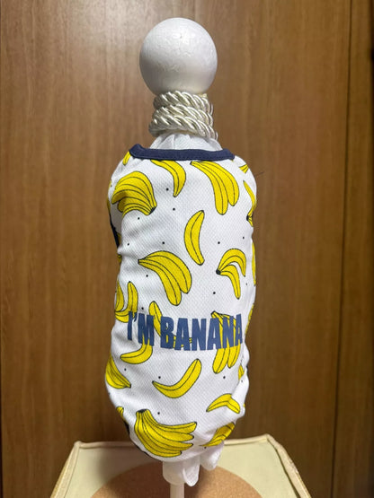 Cute Pet small dog clothes size XXL lot of 3 pieces Summer Shirt 6-8kg JAPAN