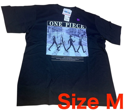 ONE PIECE x Uniqlo 2025 T-shirt Abbey Road Regular Black M size From JAPAN